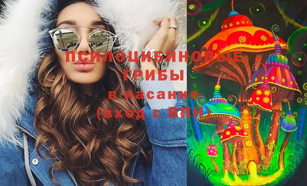 spice Алексин