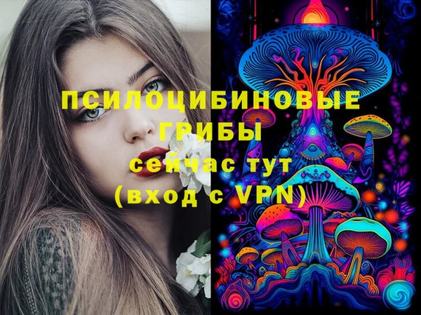 spice Алексин