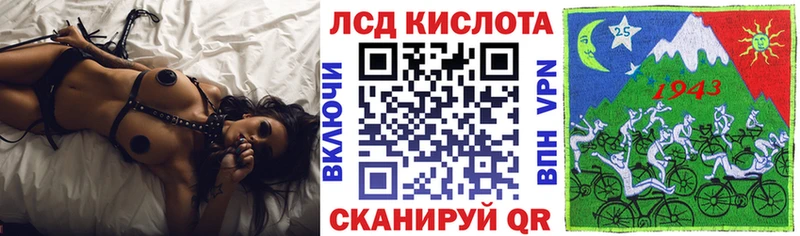 Марки N-bome 1,8мг  блэк спрут   Николаевск  купить наркотики сайты 