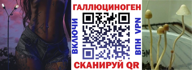 Галлюциногенные грибы Magic Shrooms  Николаевск 